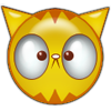 YELLOW KITTY